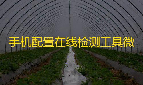 暗区突围开挂网站手机配置在线检测工具微信小程序源码