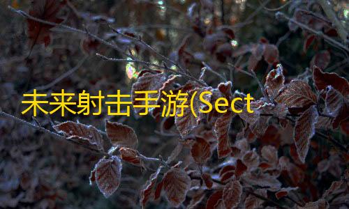 卡盟货源到底哪里来的未来射击手游(Sector Strike)